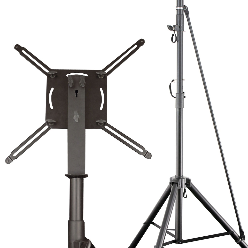 67909_p3.jpg