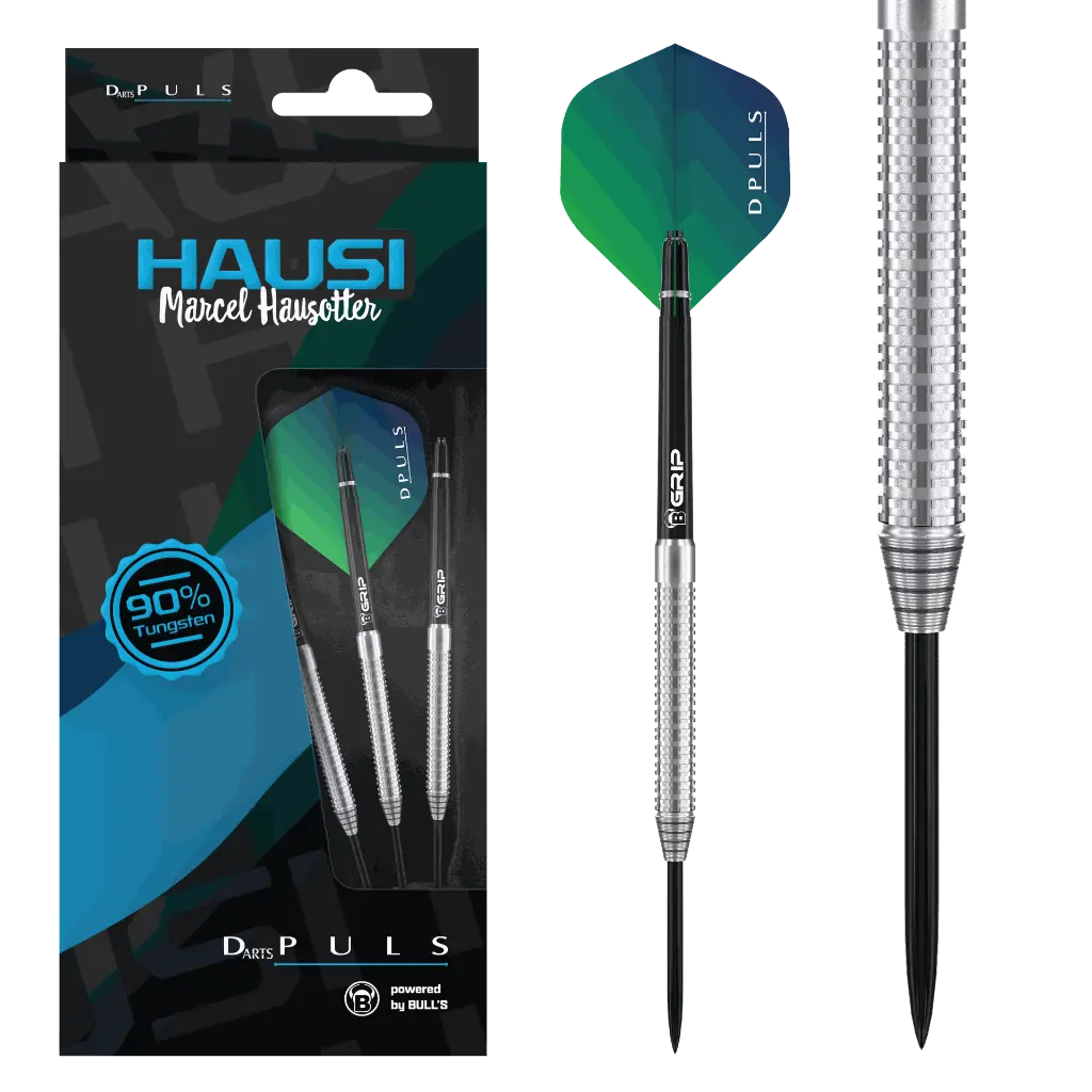 d44023_hausi_steel_p1.webp