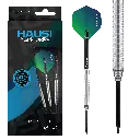 d44023_hausi_steel_p1.webp