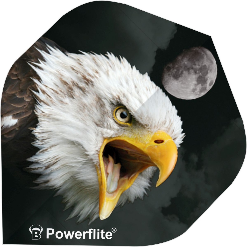 [50733] BULL'S Powerflite