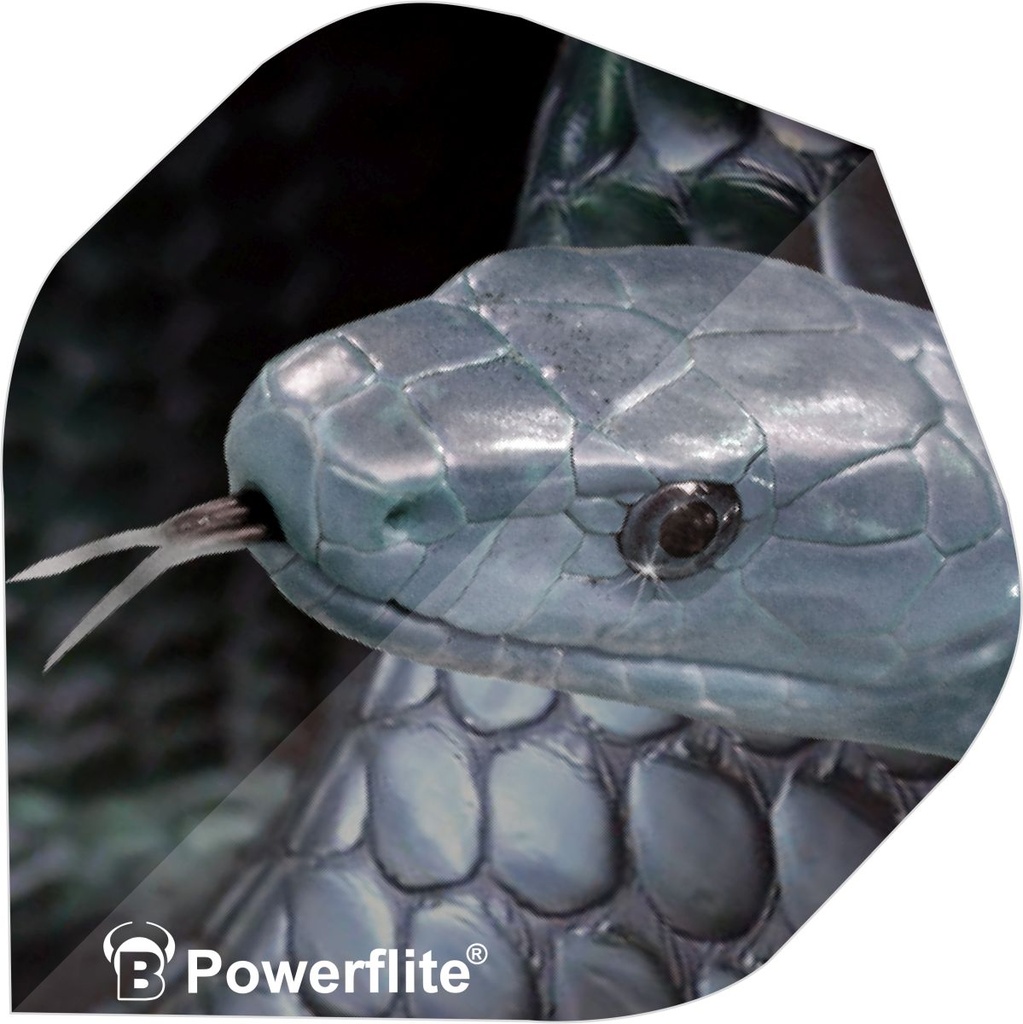 [50704] BULL'S Powerflite Standard A-Shape