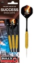 BULL'S Success Steel Dart