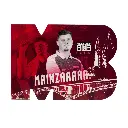 BULL'S Niko Springer Fankarte